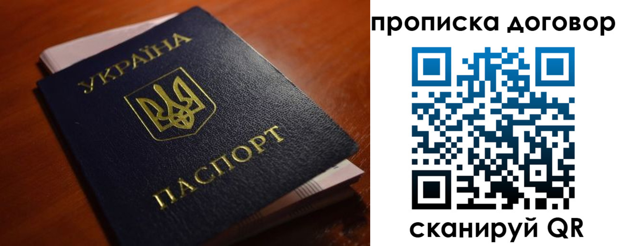 прописка законно в Светлогорске